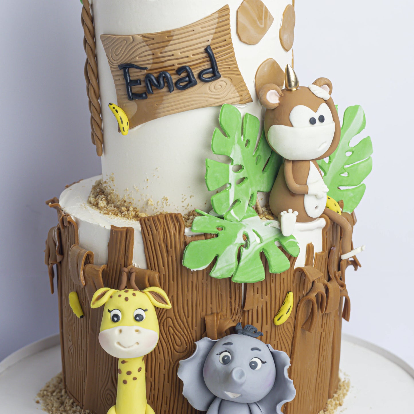 Two-Tier Kids Safari Cake