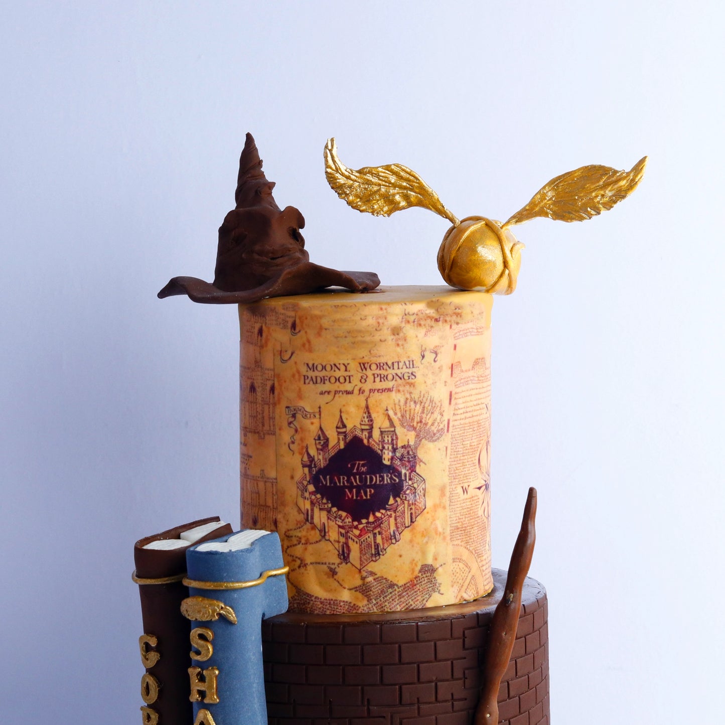 Harry Potter Theme Cake