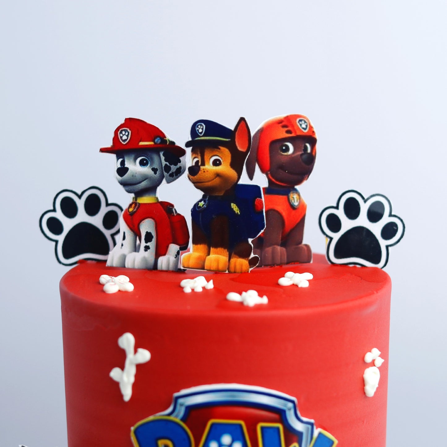 Paw Patrol Rescue Cake