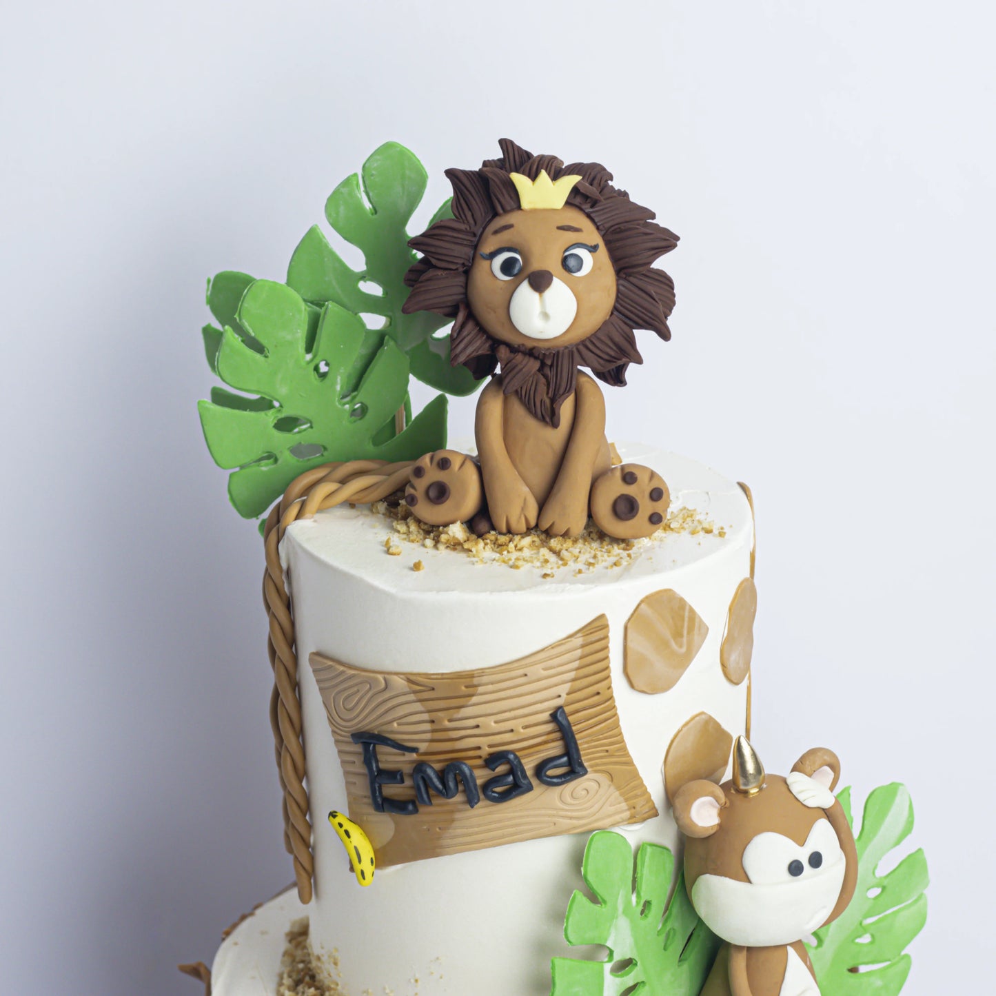 Two-Tier Kids Safari Cake