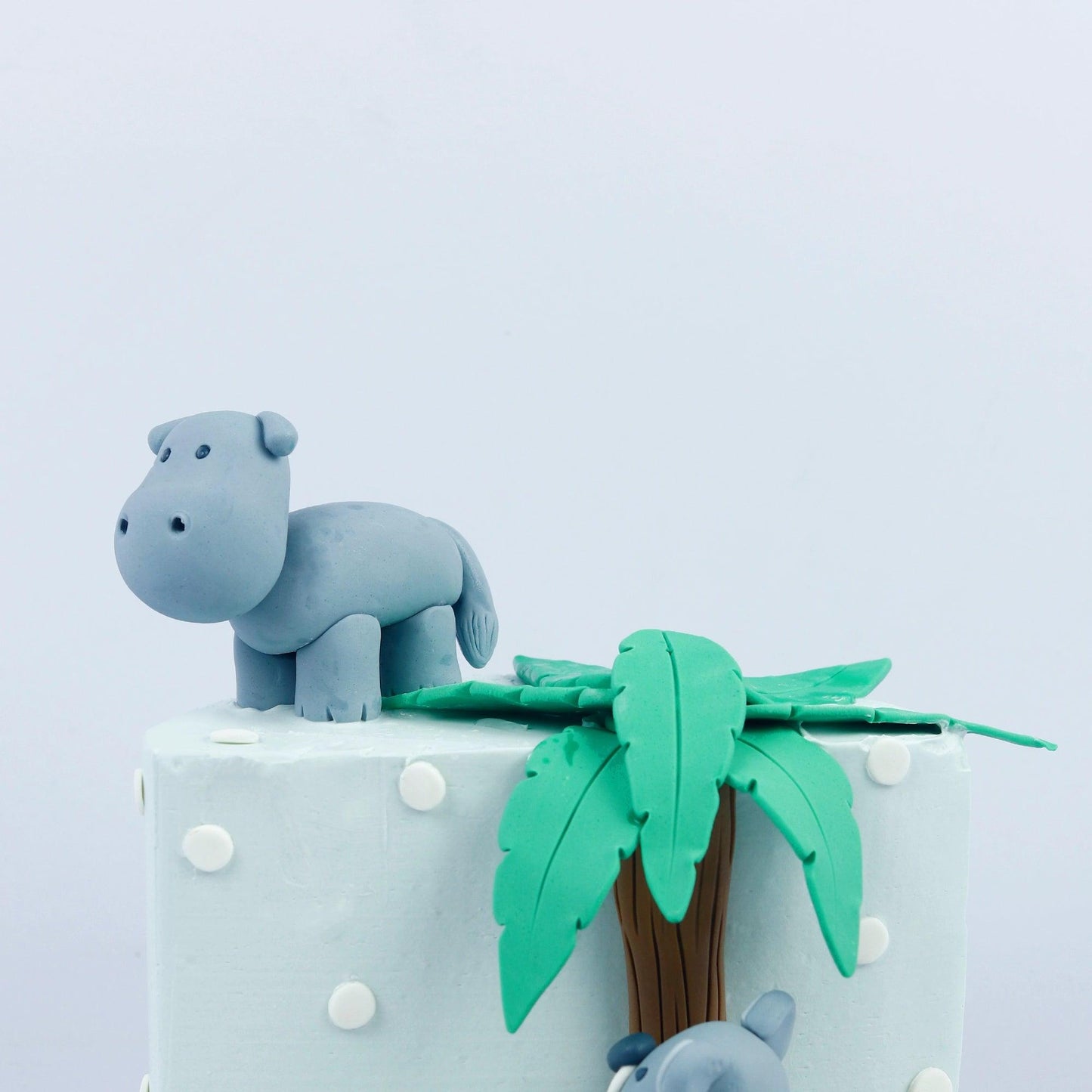 Hippo Theme Cake - Borsalle